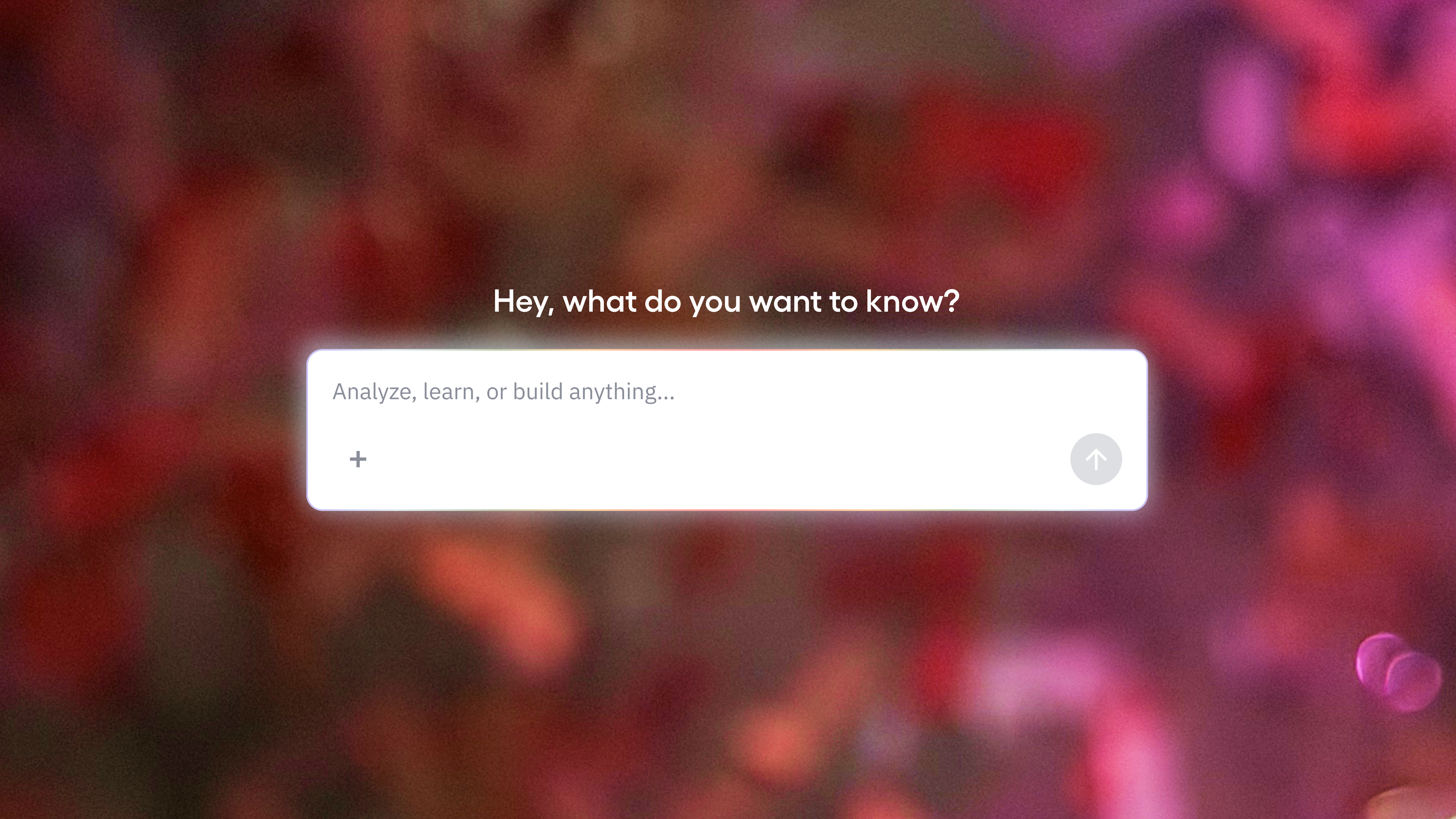 AI Chat Box Feature